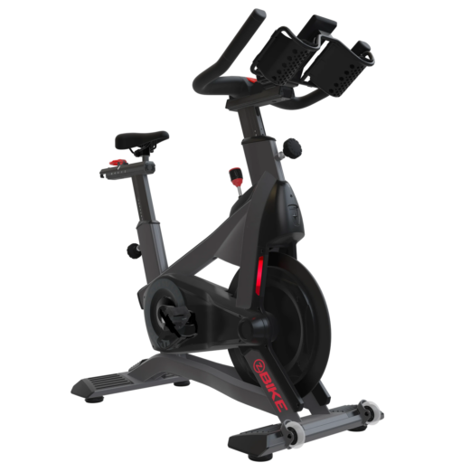 Schwinn Z Bike Indoor Cycle For Sale